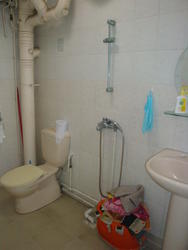 Blk 103 Jalan Rajah (Kallang/Whampoa), HDB 5 Rooms #117756912